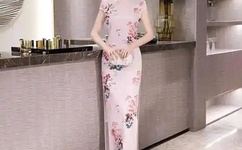 国产精品99久久久久久久女警